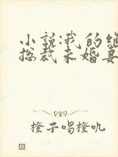 小说:我的绝色总裁未婚妻