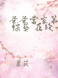 爸爸当家第四季 综艺 在线看