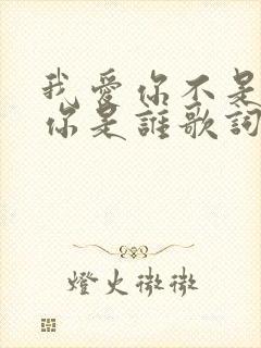 我爱你不是因为你是谁歌词