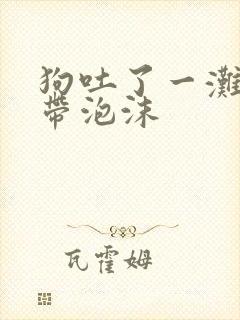 狗吐了一滩黄水带泡沫