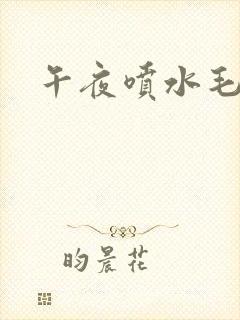 午夜喷水毛片