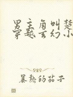 男主角叫楚轩的穿越玄幻小说