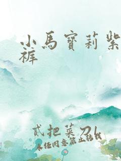 小马宝莉紫悦内裤