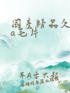 国产精品久久久a毛片