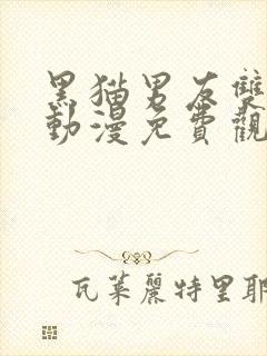 黑猫男友双男主动漫免费观看