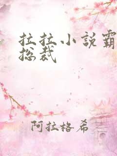 拉拉小说霸道女总裁