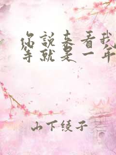 你说来看我,一等就是一年多原唱