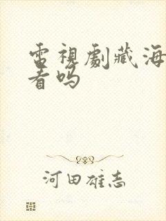 电视剧藏海传好看吗