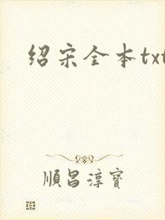 绍宋全本txt