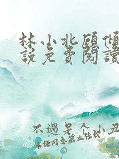 林小北顾倾城小说免费阅读最新章节