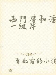 西门庆和潘金莲一级片