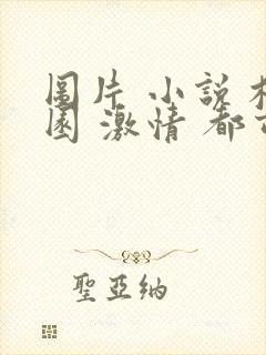 图片 小说 校园 激情 都市