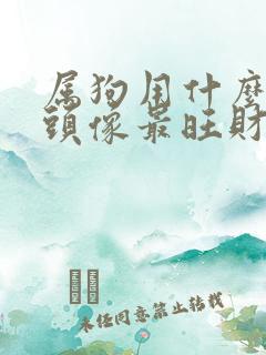 属狗用什么微信头像最旺财