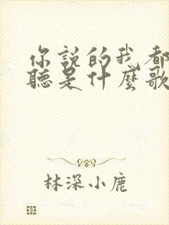 你说的我都愿意听是什么歌