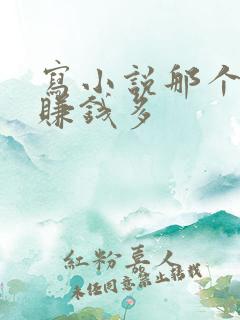 写小说那个软件赚钱多