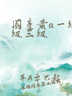 国产黄a一级二级三级