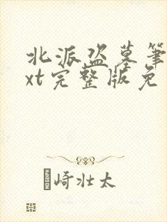 北派盗墓笔记txt完整版免费下载