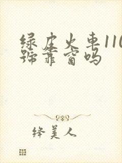 绿皮火车110号靠窗吗