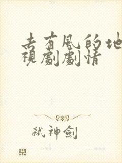 去有风的地方电视剧剧情