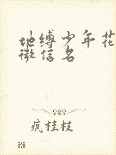 地缚少年花子君微信名