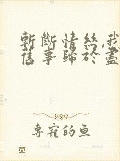 斩断情丝,我与旧事归于尽短剧在线观看