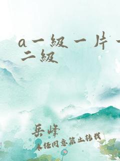 a一级一片一级二级
