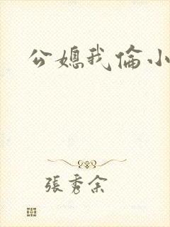 公媳我伦小说