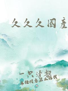 久久久国产精品