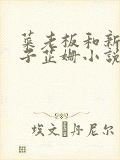菜老板和新婚妻子芷姗小说