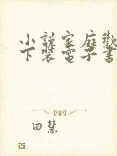 小说家庭欢乐夜下装电子书