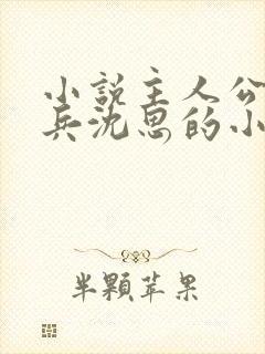 小说主人公叫李兵沈思的小说