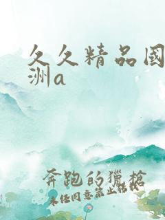 久久精品国产亚洲a