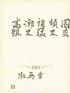 高潮视频国产又粗又猛又爽又黄的视频