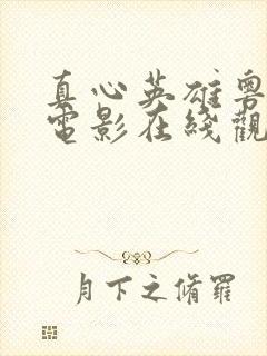 真心英雄粤语版电影在线观看