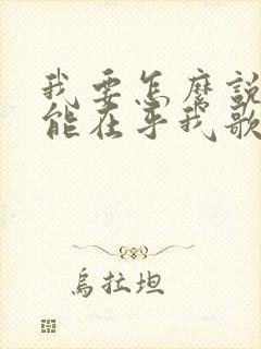 我要怎么说你才能在乎我歌词