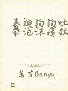 泰迪狗狗吐黄水带泡沫还拉稀