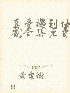 真爱遇到他电视剧全集免费观看