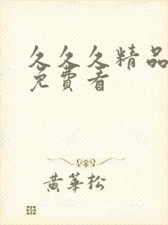 久久久精品国产免费看