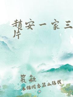 赵安一家三口照片