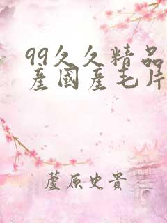 99久久精品国产国产毛片