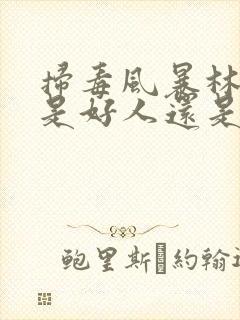 扫毒风暴林强峰是好人还是坏人