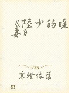 《陆少的暖婚新妻》