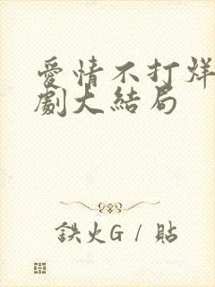 爱情不打烊电视剧大结局