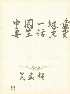 中国一级黄色夫妻生活免费录像