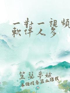 一对一视频聊天软件人多