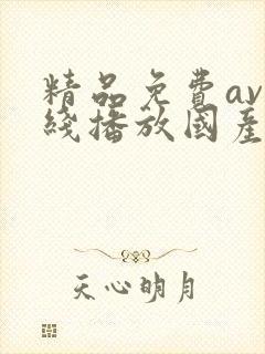 精品免费av在线播放国产