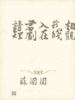 请君入我相思局短剧在线观看