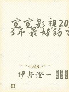 宣宣影视2023年最好的电视剧