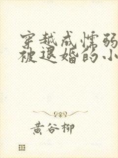 穿越成懦弱皇子被退婚的小说