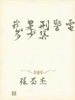 我是刑警电视剧多少集